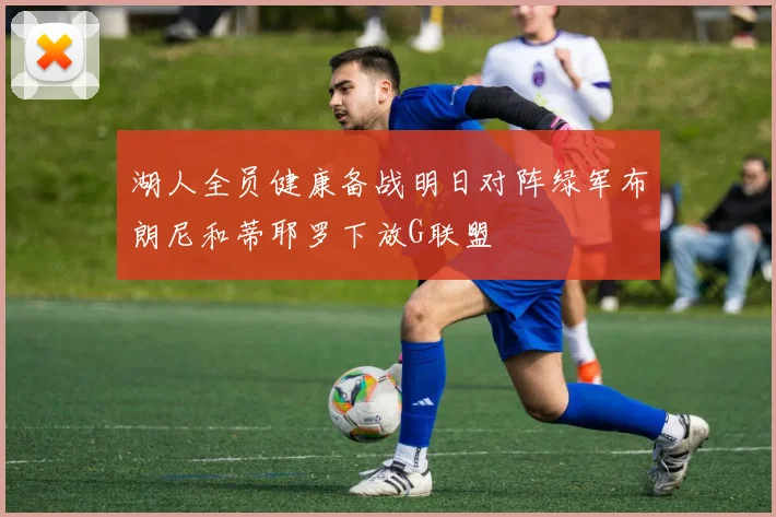湖人全员健康备战明日对阵绿军布朗尼和蒂耶罗下放G联盟