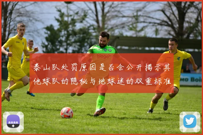 泰山队处罚原因是否会公开揭示其他球队的隐秘与地球迷的双重标准