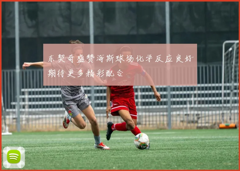 东契奇盛赞海斯球场化学反应良好期待更多精彩配合